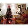 Genoveva's Christmas tree from Irun, Guipuzcoa, Espa�a