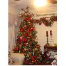 Yaya Pavlovich's Christmas tree from Sonora, M�xico