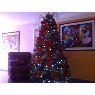Audry Arigoyen's Christmas tree from Guacara, Venezuela
