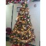 Medicina del Deporte's Christmas tree from M�xico D.F, M�xico