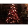 Almudena Hieyte's Christmas tree from Sevilla, Espa�a