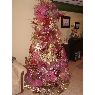 Familia Cordero Rodriguez's Christmas tree from Venezuela