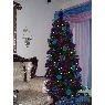 Maria Madera's Christmas tree from Bronx, New York, USA