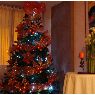 FAMILIA CHAVEZ GUEVARA's Christmas tree from San Juan de Pasto, Colombia