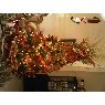 Gabriela Duarte's Christmas tree from Maracaibo, Venezuela