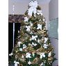 Letitia Clementi's Christmas tree from Orlando, FL, USA