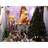 Weihnachtsbaum von Osvaldo Ampuero (Copiapo, Chile)