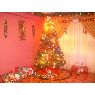 Tatiana Mancilla P�rez's Christmas tree from Vi�a del Mar, Chile