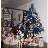 Lilia Maritza Diaz Urbano's Christmas tree from Valencia, Venezuela