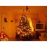 Weihnachtsbaum von Maria Jose Nu�ez Castillo (Quilpue, Chile)