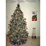 �rbol de Navidad de Patricia Bruijnen (Willemstad, Curazao)