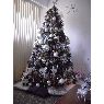 Iraida Bolivar's Christmas tree from Venezuela