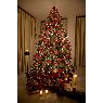 Jos� Luis Tendero Barreiro's Christmas tree from Jerez, Espa�a