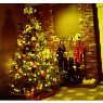 Beatriz Plasencia's Christmas tree from Lima, Per�