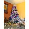 Weihnachtsbaum von Johany Almaraz Suarez (Santa Cruz de la Sierra, Bolivia)
