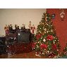 Weihnachtsbaum von Elizabeth Rodriguez (Caracas, Venezuela)