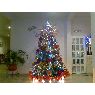 Sapin de Noël de Elsa Pacheco (Venezuela)