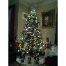 �rbol de Navidad de Wanda Romano (Clinton, Ma, USA)