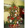 Familia Chankaji Betancourt's Christmas tree from Matur�n,  Edo Monagas, Venezuela