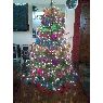 Vanessa's Christmas tree from M�xico D.F, M�xico