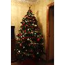 Teresa Martinez Sanz's Christmas tree from Madrid, Espa�a