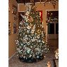 Weihnachtsbaum von Jesus Antonio Saez (Puerto Ordaz, Venezuela)