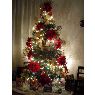 Familia Rojas's Christmas tree from Guatire, Venezuela