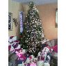 Araceli Lilia Monroy Arellano's Christmas tree from M�xico D.F, M�xico