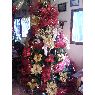 Marlin V. de Gonzalez's Christmas tree from Estado Vargas, Venezuela