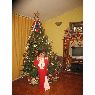 Valentina Michelle Brandt Sanchez's Christmas tree from San Pedro de la Paz, Chile