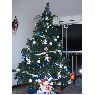 Jorge Ramirez's Christmas tree from Medellin, Colombia