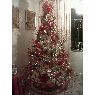 Weihnachtsbaum von Jorge Miguel Homsi (Maracay, Estado Aragua, Venezuela)