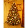 Sara Lumbreras Pis�n's Christmas tree from La Rioja, Espa�a