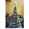Ana Navarrete L�vano's Christmas tree from Lima, Per�