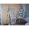C�line's Christmas tree from Marne, France