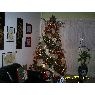 Sapin de Noël de Sulay Lugo de Vera (Coro, Venezuela)