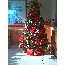 Weihnachtsbaum von Maritza Tavarez de Rodriguez  (San Pedro de Macoris, Rep�blica Dominicana)