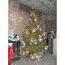 Lissette Cervantes's Christmas tree from Portoviejo, Manabi, Ecuador