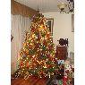 Weihnachtsbaum von Lusadriana Alarc�n Quinteros (Linares, Chile)