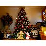 Weihnachtsbaum von Luisa (Villa Alemana, Chile)