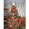 Sapin de Noël de Marcela Gonzalez Alderete (Jujuy, Argentina)