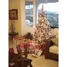 Norma Invernizzi's Christmas tree from Tegucigalpa, Honduras