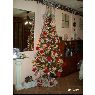 Weihnachtsbaum von Angelo Paolo (Rosario, Santa Fe, Argentina)