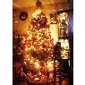 Weihnachtsbaum von Jose Luis Borja Contreras (Lima, Per�)