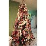 David L.'s Christmas tree from Jalisco, Mexico