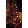 Weihnachtsbaum von Mary (Portugal)