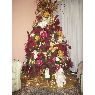 Amarilis Castillo M.'s Christmas tree from San Pedro de Macoris, Rep�blica Dominicana