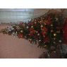 Weihnachtsbaum von Maira Castro (Tegucigalpa, Honduras)