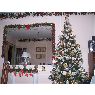 Bibiana N. Mamani Mattaliano's Christmas tree from Santa Fe, Argentina