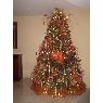 Alexandra Rinc�n's Christmas tree from Maracaibo, Edo. Zulia, Venezuela